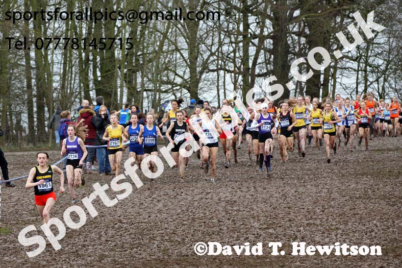 Womens under-17s 2018 British Inter Counties Cross Country Champs., Prestwold Hall, Loughborough. Photo: David T. Hewitson/Sports for All Pics